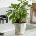 Hot sale lightweight reusable cute large flower pots in bulk plastic planters plant pots for indoor plants